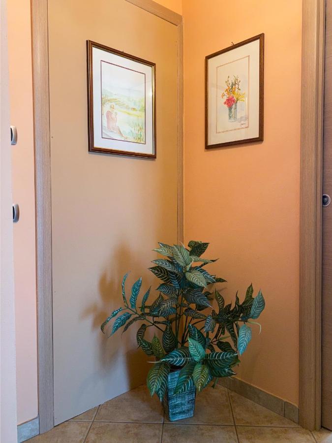 Appartement Sunny House à Diano dʼAlba Extérieur photo